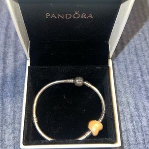 Pandora charm bracelet